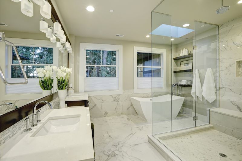 Wide Picture of a Luxurious Shower